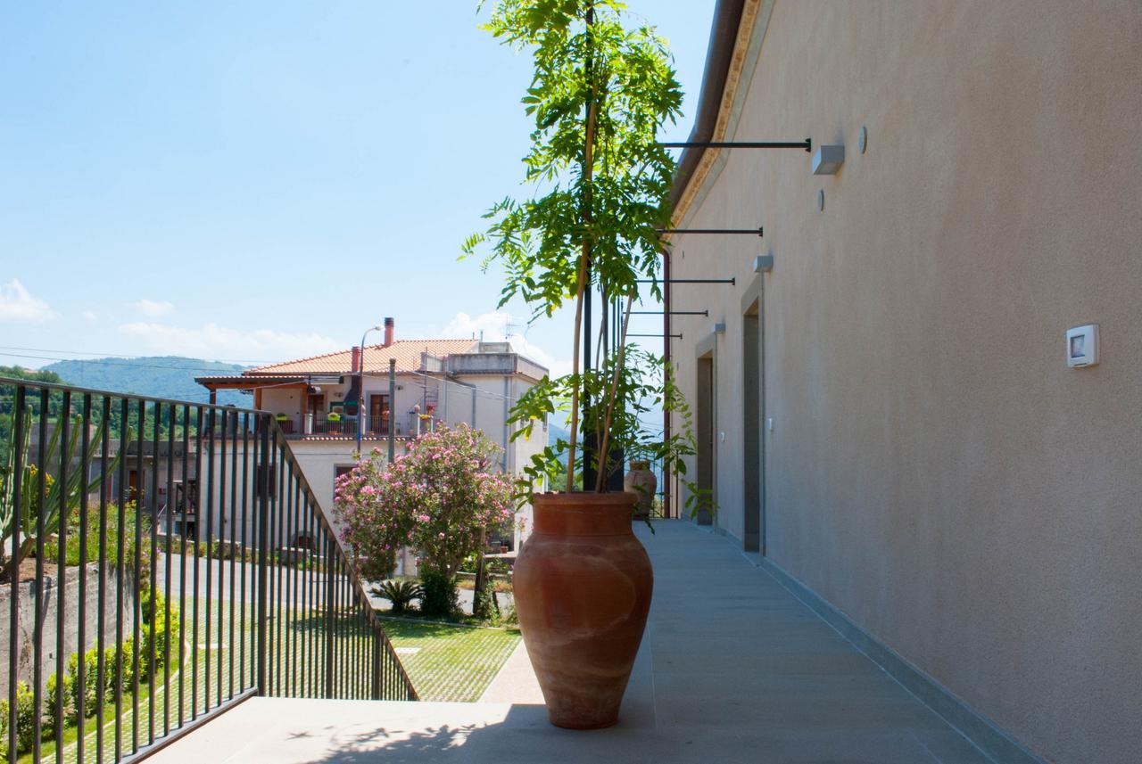 Alimunera Naso Exterior foto